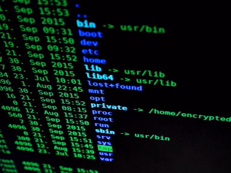 L'Exécution de Code à Distance (RCE) : Comprendre, Prévenir et Contrôler la Faille Ultime