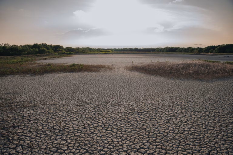 Dépassement du seuil de 1,5 °C : ce que préconise le rapport fondateur de l'ONU