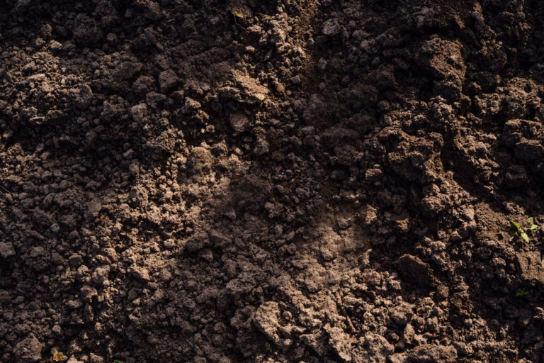 Santé des sols en Europe : la directive européenne entre en phase d'action avec le projet SoilHarmony